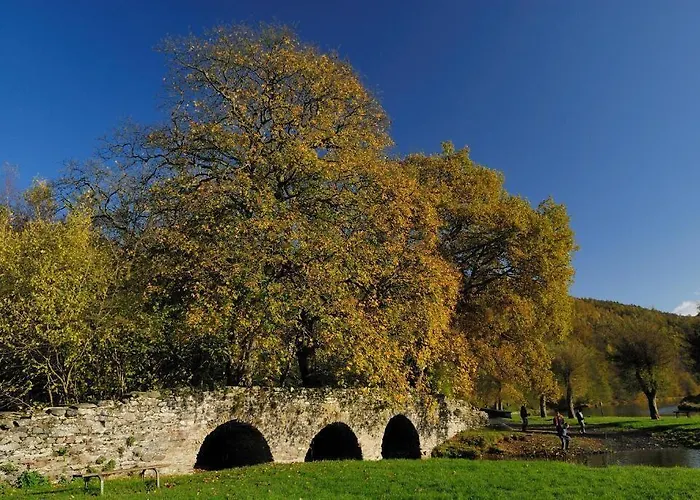 ホテル ルー ヴィーヴ ヴレス・シュル・スモワ